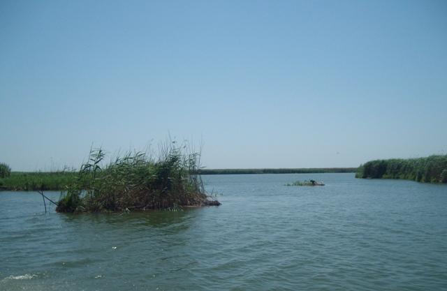 Delta forever - sany6802.JPG